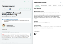 Screenshot: Supporting information sidebar for a manager